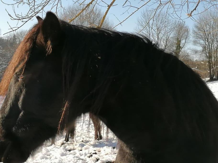Les Merens Baulou Exteriér fotografie