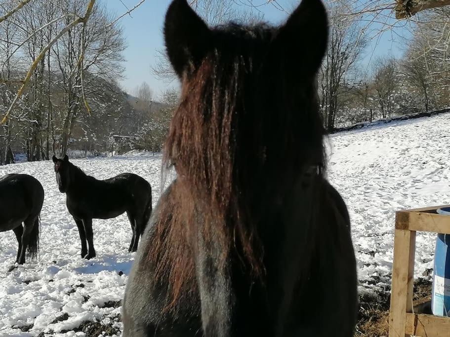 Les Merens Baulou Exteriér fotografie