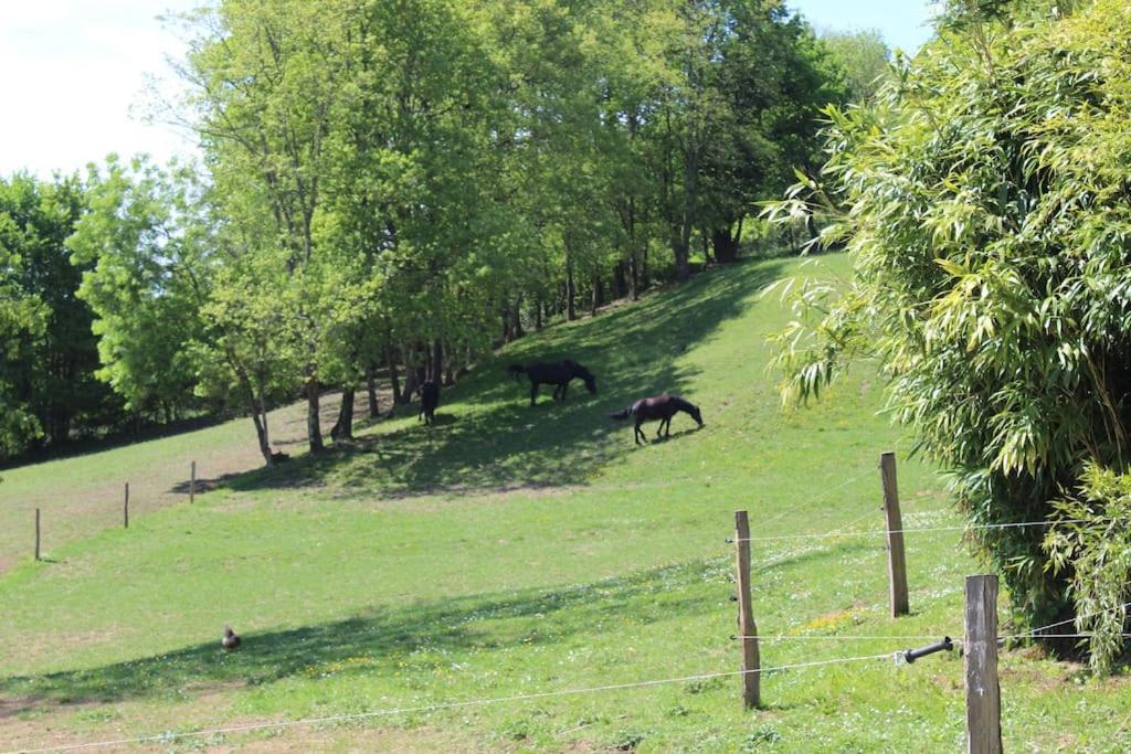 Les Merens Baulou Exteriér fotografie